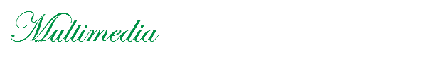Multimedia